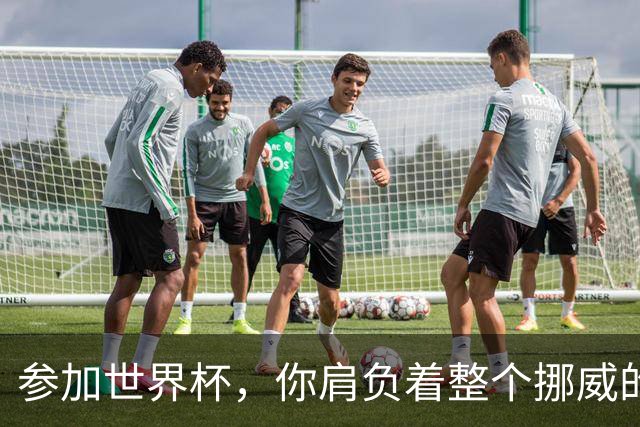 参加世界杯，你肩负着整个挪威的期望！哈兰德：我喜欢这样